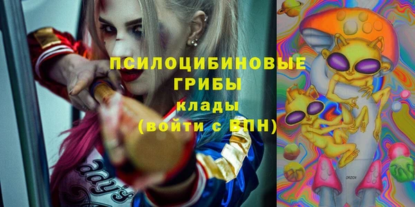 соль ск Михайлов