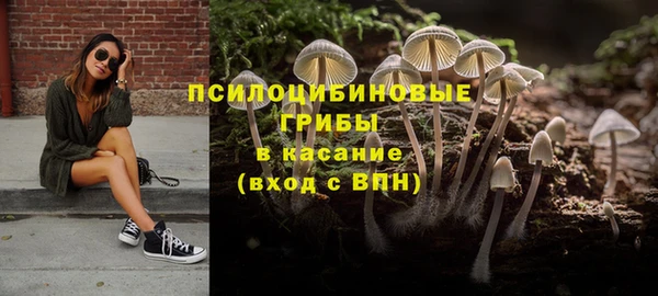 мескалин Михайловск